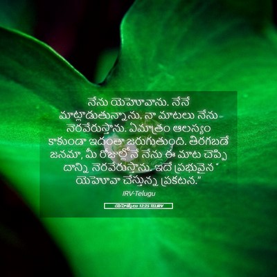 Picture 05 - యెహెజ్కేలు 12:25 TELIRV - నేను యెహోవాను. - Bible Verse Picture