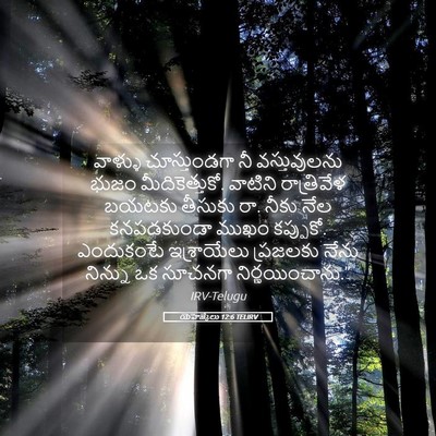 Picture 05 - యెహెజ్కేలు 12:6 TELIRV - వాళ్ళు చూస్తుండగా - Bible Verse Picture