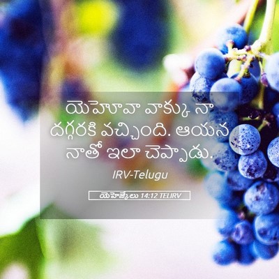 Picture 05 - యెహెజ్కేలు 14:12 TELIRV - యెహోవా వాక్కు నా - Bible Verse Picture