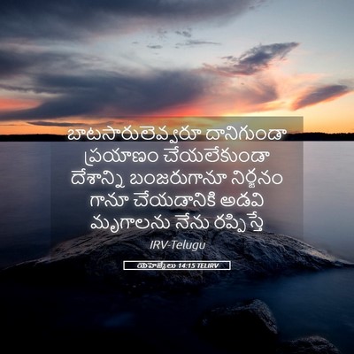 Picture 05 - యెహెజ్కేలు 14:15 TELIRV - బాటసారులెవ్వరూ - Bible Verse Picture