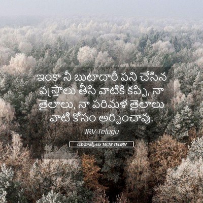 Picture 05 - యెహెజ్కేలు 16:18 TELIRV - ఇంకా నీ బుటాదారీ - Bible Verse Picture