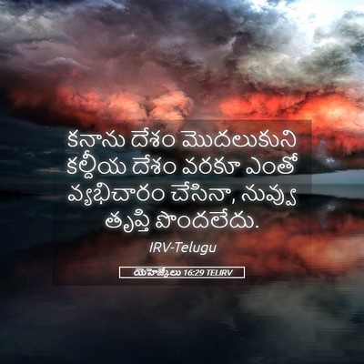 Picture 05 - యెహెజ్కేలు 16:29 TELIRV - కనాను దేశం - Bible Verse Picture