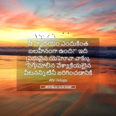 Picture 05 - యెహెజ్కేలు 16:30 TELIRV - నీ హృదయం ఎందుకింత - Bible Verse Picture