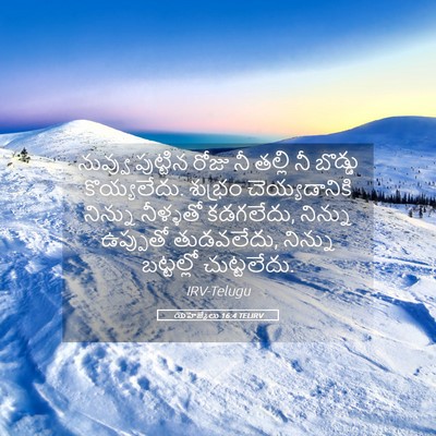 Picture 05 - యెహెజ్కేలు 16:4 TELIRV - నువ్వు పుట్టిన - Bible Verse Picture