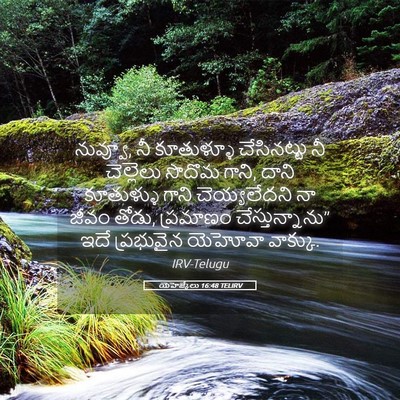 Picture 05 - యెహెజ్కేలు 16:48 TELIRV - నువ్వూ, నీ - Bible Verse Picture