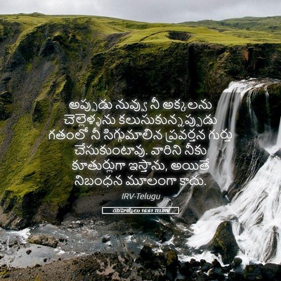 Picture 05 - యెహెజ్కేలు 16:61 TELIRV - అప్పుడు నువ్వు నీ - Bible Verse Picture