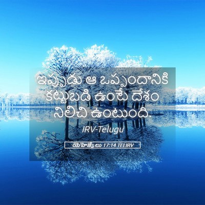 Picture 05 - యెహెజ్కేలు 17:14 TELIRV - ఇప్పుడు ఆ - Bible Verse Picture