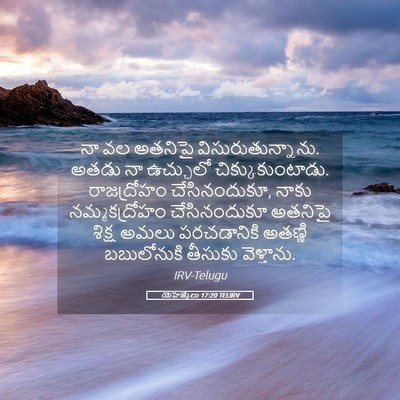 Picture 05 - యెహెజ్కేలు 17:20 TELIRV - నా వల అతనిపై - Bible Verse Picture