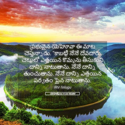 Picture 05 - యెహెజ్కేలు 17:22 TELIRV - ప్రభువైన యెహోవా ఈ - Bible Verse Picture