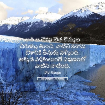 Picture 05 - యెహెజ్కేలు 17:4 TELIRV - అది ఆ చెట్టు లేత - Bible Verse Picture
