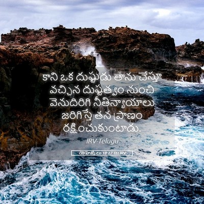 Picture 05 - యెహెజ్కేలు 18:27 TELIRV - కాని ఒక దుష్టుడు - Bible Verse Picture