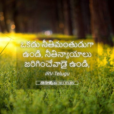 Picture 05 - యెహెజ్కేలు 18:5 TELIRV - ఒకడు నీతిమంతుడుగా - Bible Verse Picture