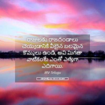 Picture 05 - యెహెజ్కేలు 19:11 TELIRV - రాజులకు రాజదండాలు - Bible Verse Picture