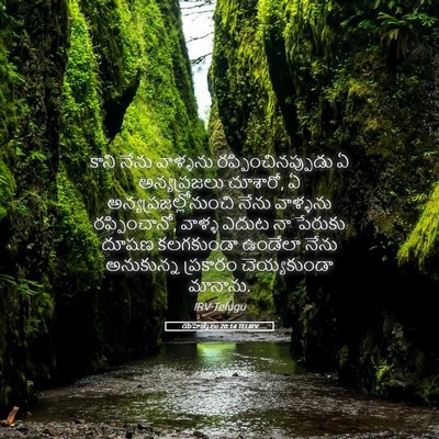 Picture 05 - యెహెజ్కేలు 20:14 TELIRV - కాని నేను వాళ్ళను - Bible Verse Picture