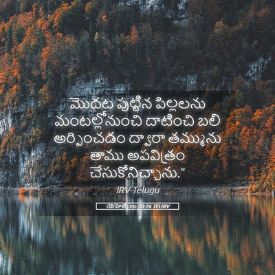Picture 05 - యెహెజ్కేలు 20:26 TELIRV - మొదట పుట్టిన - Bible Verse Picture