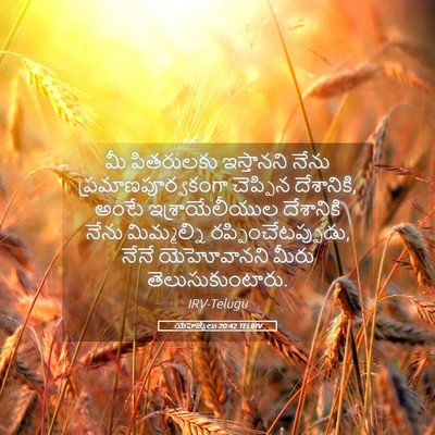 Picture 05 - యెహెజ్కేలు 20:42 TELIRV - మీ పితరులకు - Bible Verse Picture