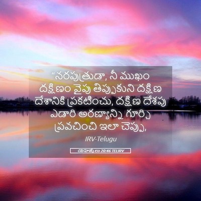 Picture 05 - యెహెజ్కేలు 20:46 TELIRV - “నరపుత్రుడా, నీ - Bible Verse Picture