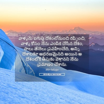 Picture 05 - యెహెజ్కేలు 20:6 TELIRV - వాళ్ళను ఐగుప్తు - Bible Verse Picture