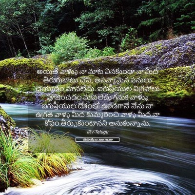 Picture 05 - యెహెజ్కేలు 20:8 TELIRV - అయితే వాళ్ళు నా - Bible Verse Picture