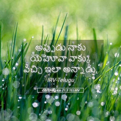 Picture 05 - యెహెజ్కేలు 21:1 TELIRV - అప్పుడు నాకు - Bible Verse Picture