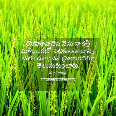 Picture 05 - యెహెజ్కేలు 21:5 TELIRV - యెహోవానైన నేను నా - Bible Verse Picture