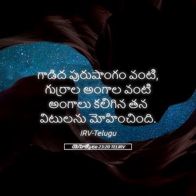 Picture 05 - యెహెజ్కేలు 23:20 TELIRV - గాడిద పురుషాంగం - Bible Verse Picture
