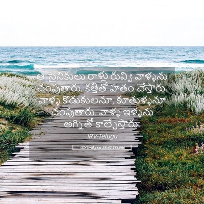 Picture 05 - యెహెజ్కేలు 23:47 TELIRV - ఆ సైనికులు రాళ్లు - Bible Verse Picture