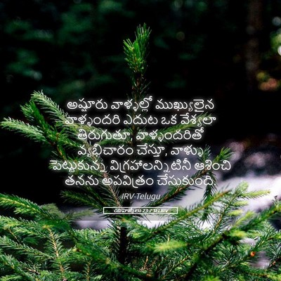 Picture 05 - యెహెజ్కేలు 23:7 TELIRV - అష్షూరు వాళ్ళల్లో - Bible Verse Picture