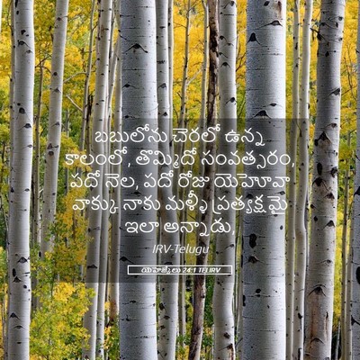 Picture 05 - యెహెజ్కేలు 24:1 TELIRV - బబులోను చెరలో - Bible Verse Picture