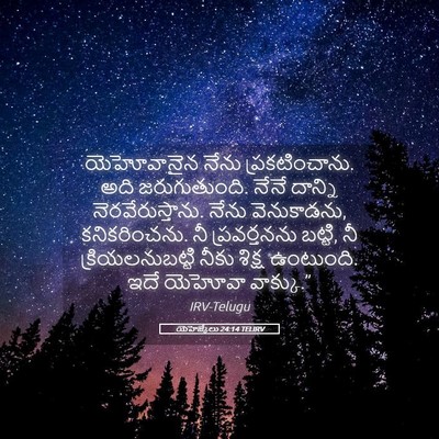 Picture 05 - యెహెజ్కేలు 24:14 TELIRV - యెహోవానైన నేను - Bible Verse Picture