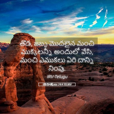 Picture 05 - యెహెజ్కేలు 24:4 TELIRV - తొడ, జబ్బ మొదలైన - Bible Verse Picture