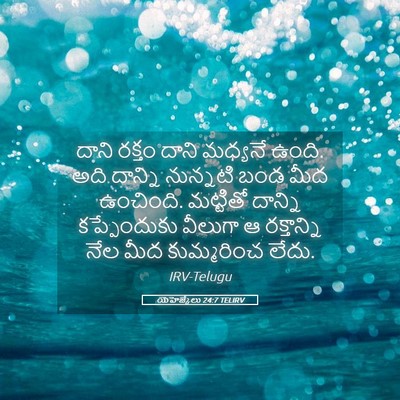 Picture 05 - యెహెజ్కేలు 24:7 TELIRV - దాని రక్తం దాని - Bible Verse Picture