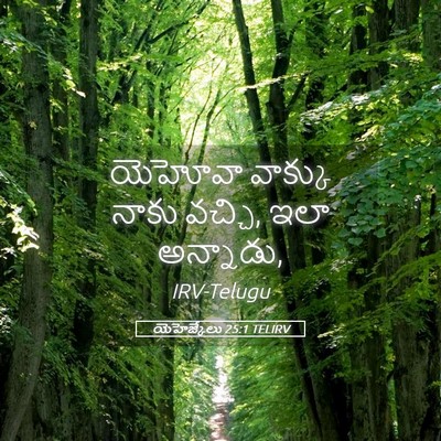 Picture 05 - యెహెజ్కేలు 25:1 TELIRV - యెహోవా వాక్కు - Bible Verse Picture