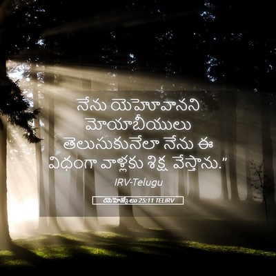 Picture 05 - యెహెజ్కేలు 25:11 TELIRV - నేను యెహోవానని - Bible Verse Picture