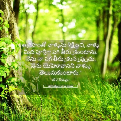 Picture 05 - యెహెజ్కేలు 25:17 TELIRV - ఆగ్రహంతో వాళ్ళను - Bible Verse Picture