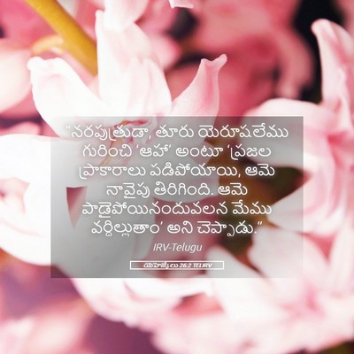 Picture 05 - యెహెజ్కేలు 26:2 TELIRV - “నరపుత్రుడా, తూరు - Bible Verse Picture