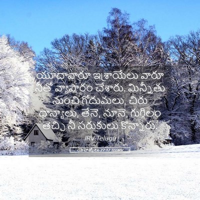 Picture 05 - యెహెజ్కేలు 27:17 TELIRV - యూదావారూ - Bible Verse Picture