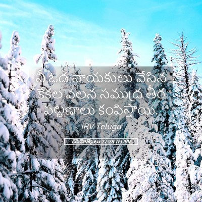 Picture 05 - యెహెజ్కేలు 27:28 TELIRV - నీ ఓడ నాయకులు - Bible Verse Picture