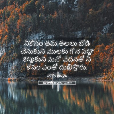 Picture 05 - యెహెజ్కేలు 27:31 TELIRV - నీకోసం తమ తలలు - Bible Verse Picture