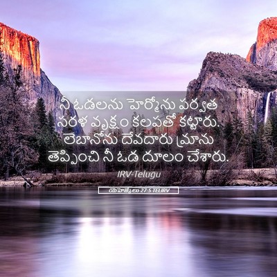 Picture 05 - యెహెజ్కేలు 27:5 TELIRV - నీ ఓడలను హెర్మోను - Bible Verse Picture