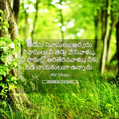 Picture 05 - యెహెజ్కేలు 27:8 TELIRV - సీదోను నివాసులు, - Bible Verse Picture