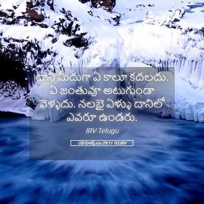 Picture 05 - యెహెజ్కేలు 29:11 TELIRV - దాని మీదుగా ఏ కాలూ - Bible Verse Picture