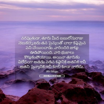 Picture 05 - యెహెజ్కేలు 29:18 TELIRV - నరపుత్రుడా, తూరు - Bible Verse Picture