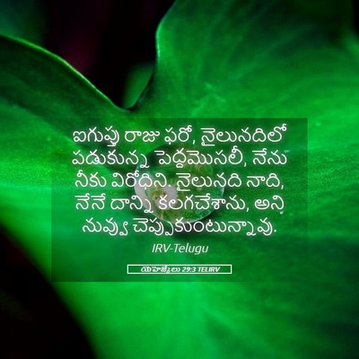Picture 05 - యెహెజ్కేలు 29:3 TELIRV - ఐగుప్తు రాజు ఫరో, - Bible Verse Picture
