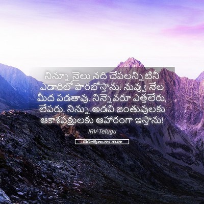 Picture 05 - యెహెజ్కేలు 29:5 TELIRV - నిన్నూ నైలు నది - Bible Verse Picture