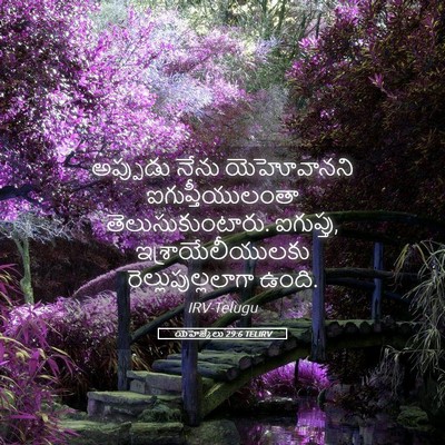Picture 05 - యెహెజ్కేలు 29:6 TELIRV - అప్పుడు నేను - Bible Verse Picture