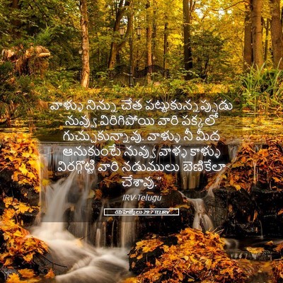 Picture 05 - యెహెజ్కేలు 29:7 TELIRV - వాళ్ళు నిన్ను చేత - Bible Verse Picture