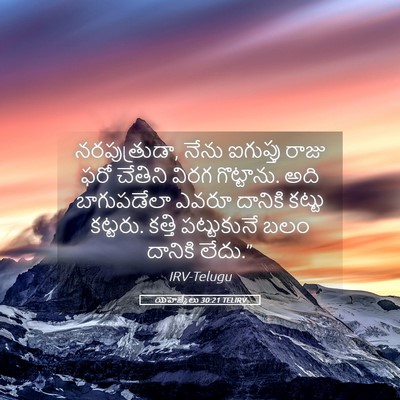 Picture 05 - యెహెజ్కేలు 30:21 TELIRV - నరపుత్రుడా, నేను - Bible Verse Picture