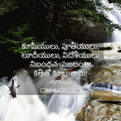 Picture 05 - యెహెజ్కేలు 30:5 TELIRV - కూషీయులు, - Bible Verse Picture