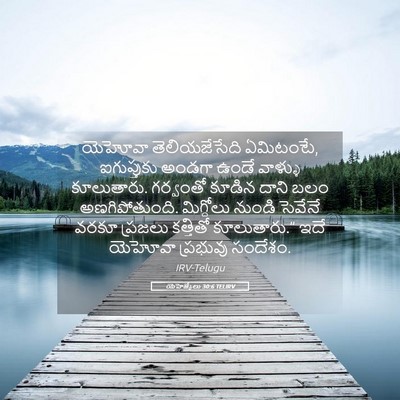 Picture 05 - యెహెజ్కేలు 30:6 TELIRV - యెహోవా - Bible Verse Picture